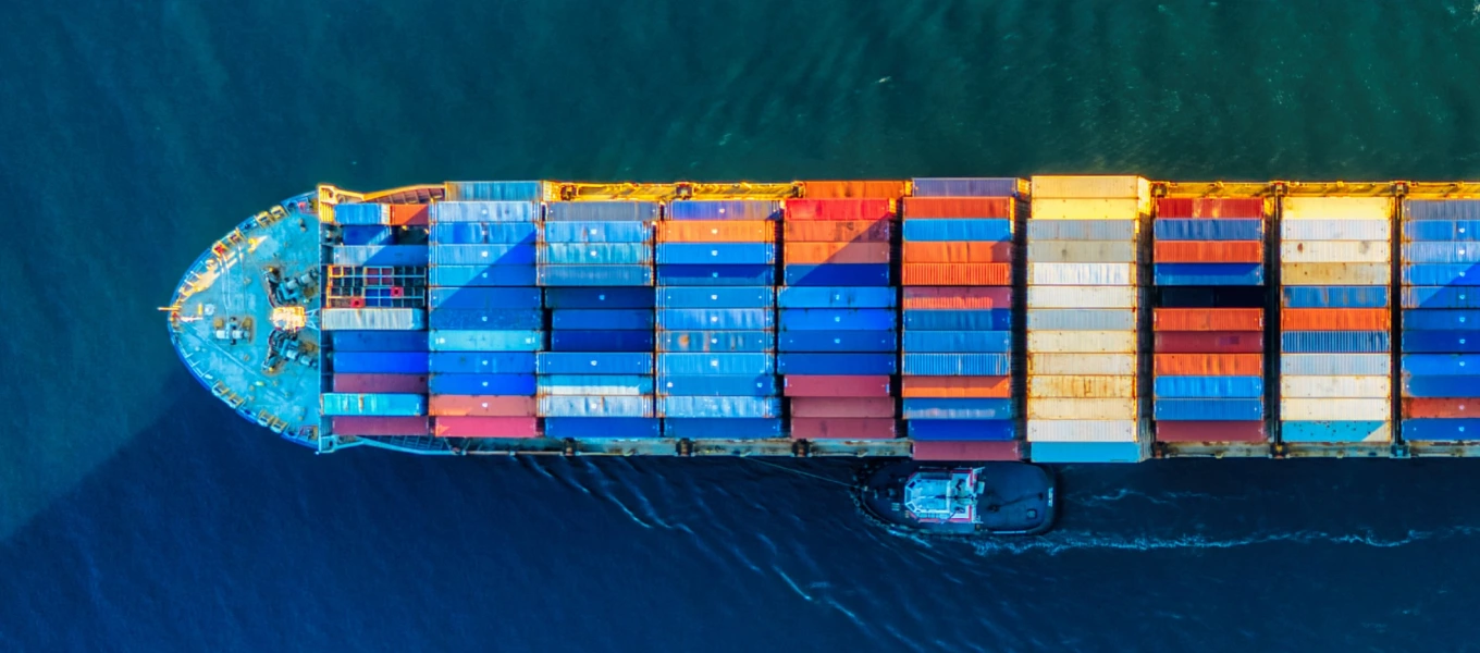 Cargo ship depicting Canopus company as Professional Marine Surveyors & Consultants